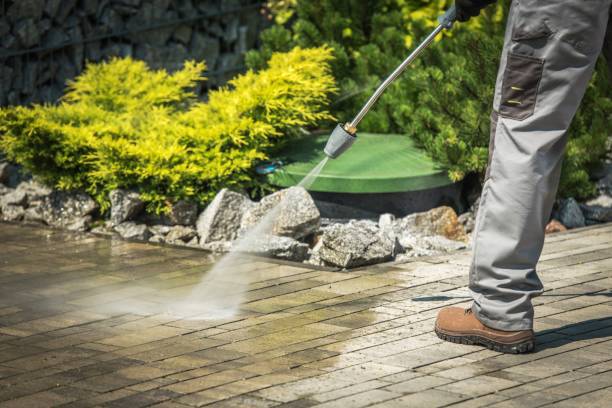Animal Enclosure Cleaning in Elizabeth Lake, CA