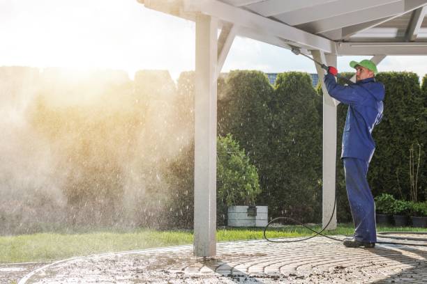 Best Gutter Cleaning  in Elizabeth Lake, CA