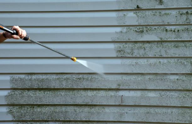 Best Patio and Deck Pressure Washing  in Elizabeth Lake, CA