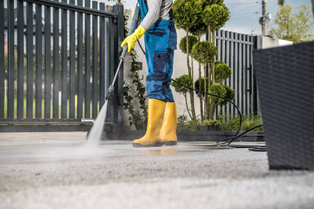 Best House Exterior Washing  in Elizabeth Lake, CA